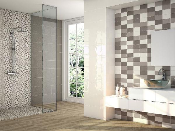 Purchase and price of wall ceramic tiles types